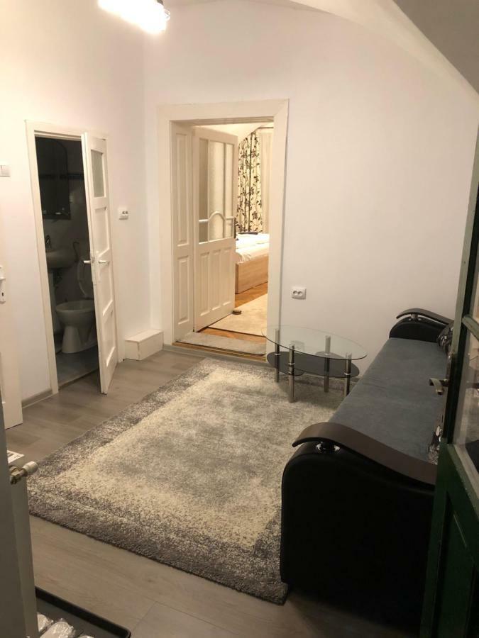 Enjoy Apartment Sibiu Exterior photo